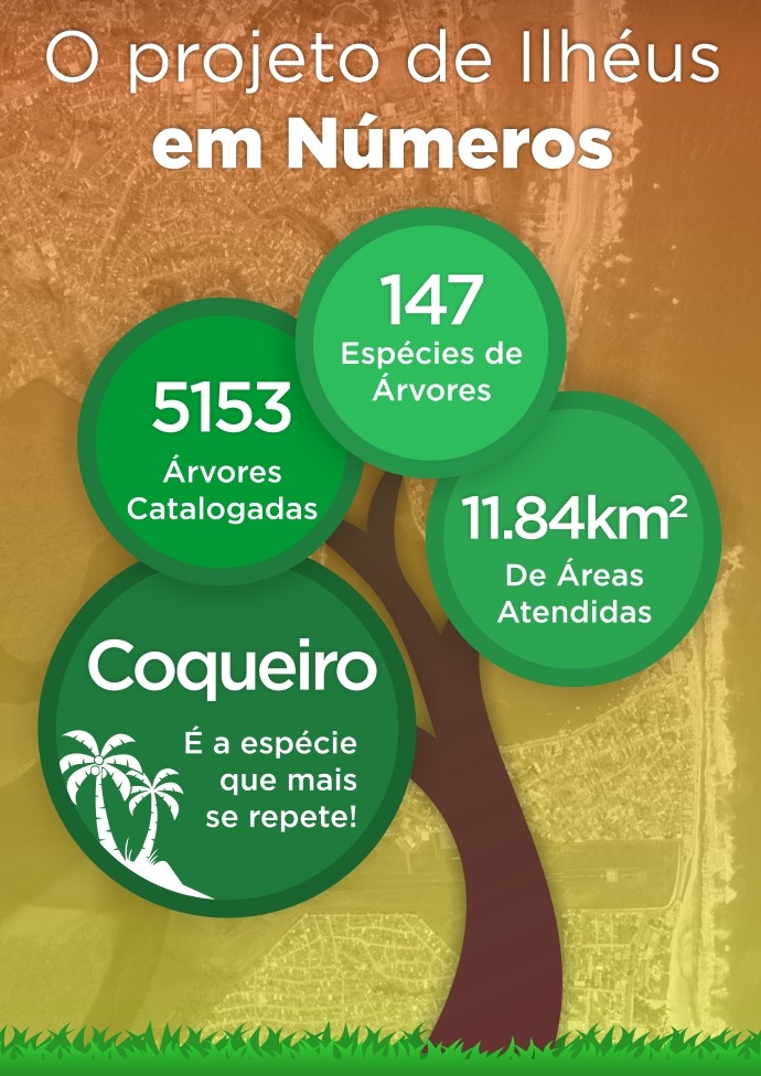 preço de uma árvore