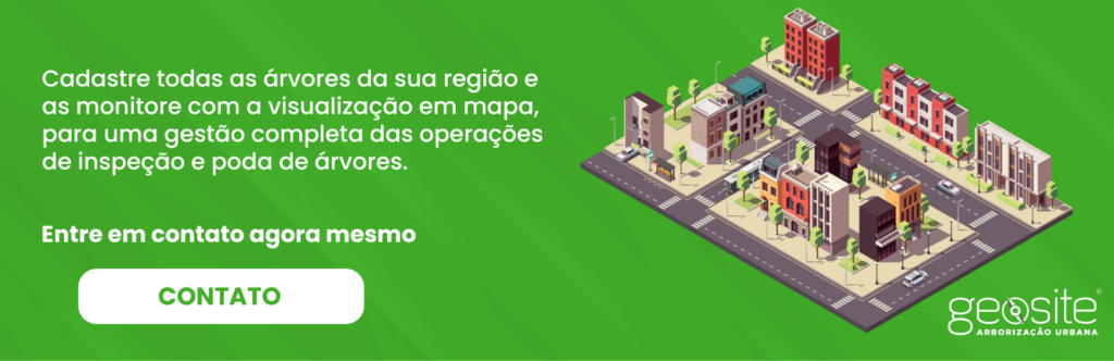 Manutenção preventiva de árvores