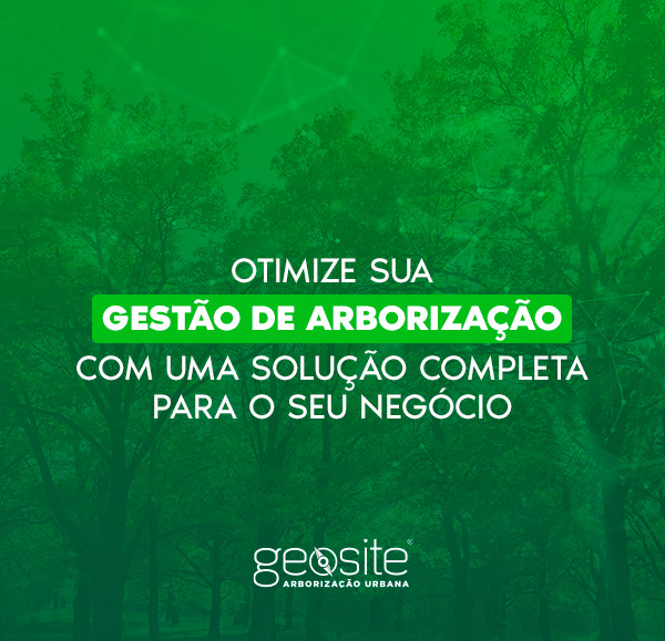 Imagem ilustrativa para blog sobre sobre arborização urbana.
