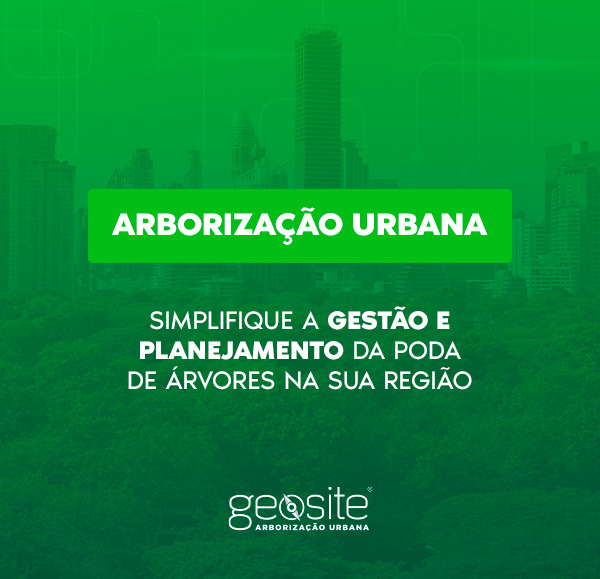Imagem ilustrativa para blog sobre arborização.