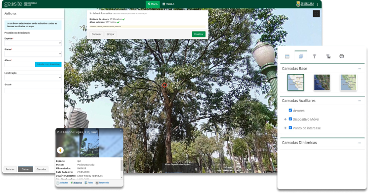 Geosite Arborização Urbana