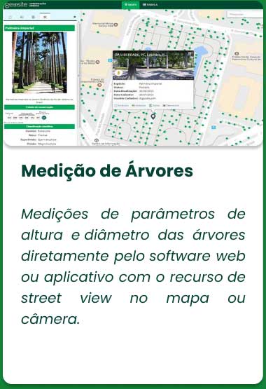 a imagem mostra o geosite arborização na área de medição de árvores